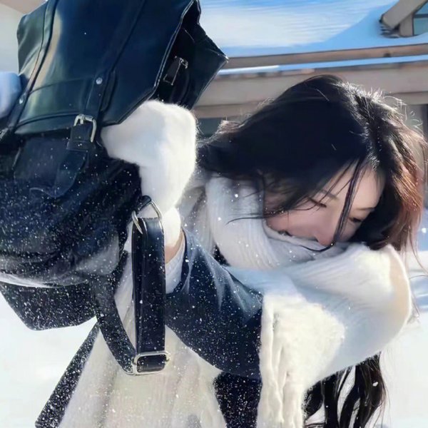 泼妇碧安卡封面